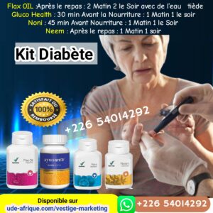 Traitement Kit Diabète Vestige Marketing ude-afrique Gluco Health Noni Neem Flax OIL